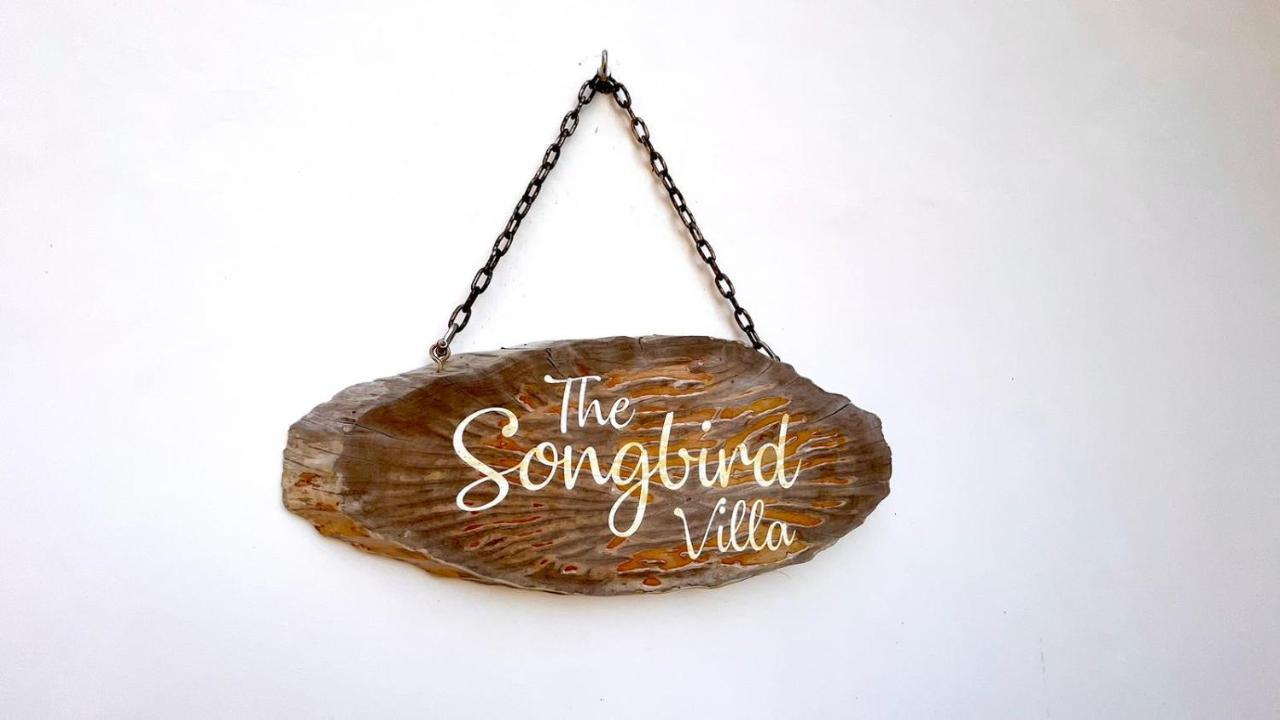 The Songbird Villa Pointe Au Sel Exteriör bild